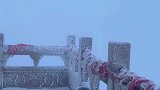 一场大雪美了整个老君山，今年是谁陪着你到白头呢
