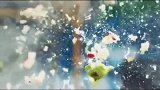 红苹果和绿苹果加速到时速90公里后发生的对心碰撞，这才是真正的鲜嫩多汁。