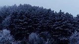 今天的华亭真的很仙，很美，我负责分享，你负责欣赏雾凇美景 初雪 冬天该有的样子 最美雪景