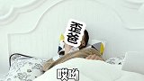 小歪：人与猫之间最起码的信任呢
