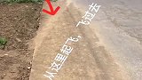 最牛飞行汽车，这要开多快，才能从这里飞到那边