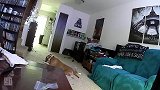 狗子咬破玩具里的电池 引发爆炸起火