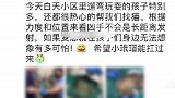北京一小区多只流浪猫遭钢钉射伤 居民担心射中人已报警