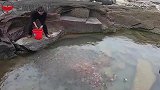 往水坑投下秘制诱饵，一个星期后抽干，一不小心就抓爆桶太刺激了