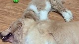 刚认识 VS 在一起后…