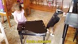 小主人在练琴，狗狗：我也来一首