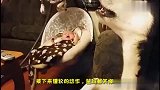 小宝宝刚睡着，二哈就想找宝宝玩，德牧上去就是一巴掌：不许动他