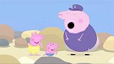 小猪佩奇：佩奇来到沙滩，发现不一样，这里都是大石头！