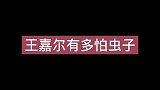 王嘉尔有多怕虫子，被飞蛾吓的大叫，被蛐蛐弄出表情包