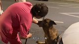 猫：往猫身上坐，压得受不了