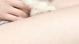 小可爱主人抱走了