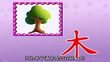 5汉字：木 果 叶