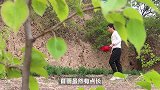 做浆水不求人，不用浆水引子也能做出酸爽美味的浆水，一看就会
