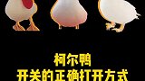 柯尔鸭开关的正确打开方式