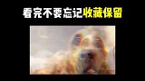 度假岛20个无敌位置，看完轻松拿下度假岛！