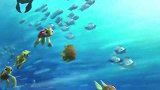 海底总动员：多莉声音太大了，她会引来危险的，多莉快点闭嘴