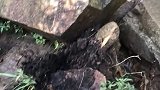 武功山绝望坡，爬武功山必须带登山杖，要么会绝望。