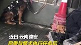 民警与警犬执行任务后席地而睡