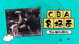 【CBA名场面】深圳两个外援场边内讧直接动手 扔水瓶又打脑袋