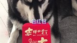 打开红包后我笑了