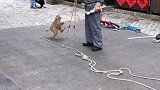猴子踩高跷了。