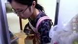 喜欢吃吐司的要收藏啦，这样做的吐司营养丰富，全家老少抢着吃