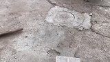 狗子：铲屎的你太坏了，我睡个觉你都要打我！
