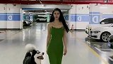美女与小白就是这样了吧