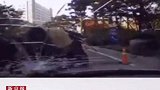 首次准确界定“碰瓷”行为，为马路“戏精”划出法律红线