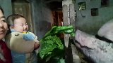 喂个猪多笑的这么开心，这就是最纯真的笑了吧猪