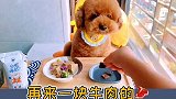 你见过吃完饭打嗝的狗子吗？