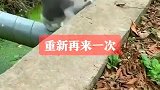 猫：幸好我反应快，不然就掉水里了！