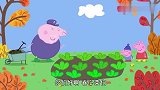 小猪佩奇：猪爷爷去拿帽子，却弄了一身泥，被帽子耍的团团转！