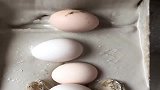 山东河南才有的特色鸡蛋，别的地区很少有，不是皮蛋！