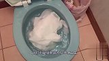 为什么说不要把废弃厕纸扔进马桶里看完涨见识了