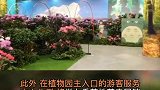 春节期间来太原植物园赏高山杜鹃吧山西 太原 植物园 春节 高山杜鹃