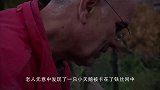 男子发现一只海鸥卡在石缝，伸手一拉，下一秒连忙扔掉就跑