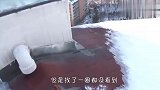 流浪猫被困楼顶，为了维持生命只能吃雪，结局太暖了