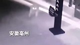 被遗弃的小泰迪犬后腿瘫痪，爬到消防站求助