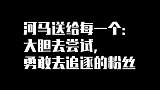 游轮vlog：一支给粉丝的视频，河马和一群日本小姐姐合影