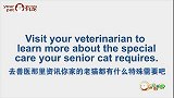 猥琐！被猫咪扑倒的100种姿势