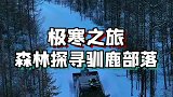 把房车开到原始森林，期待与驯鹿的相逢