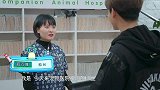 花少北体验宠物医生的工作，喂狗狗吃饭时，遇见一只勇猛的狗子