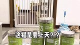 围栏的老办已经在投诉我了！