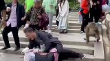 峨眉山猴子太厉害了，这一操作把大哥给整懵了