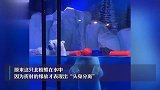 女子逛海洋馆发现北极熊“身首异处”，网友：光的折射