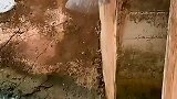 打鱼位置选择重要性