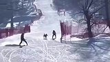 如何十秒学会滑雪，或许你只差一只狗教练
