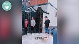 大衣哥送儿子的别墅建好了！装修高档，全套红木家具