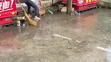 小狗，我不要面子啊